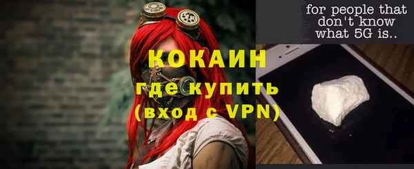 винт Лагань